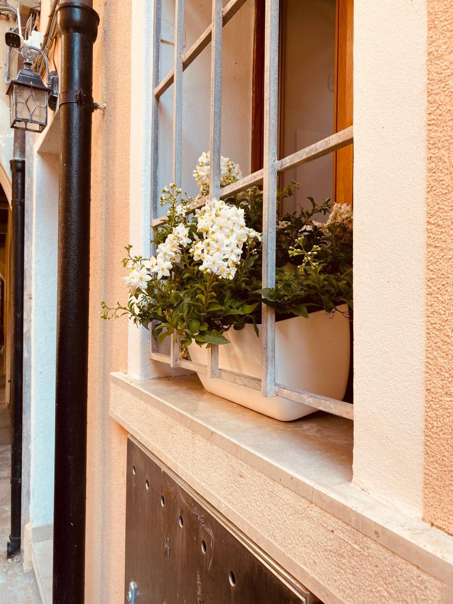 Casabella Casa Indipendente Con Corte Сasa de vacaciones Chioggia